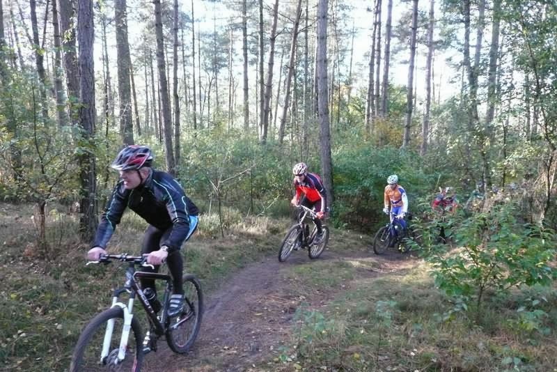 VTT2009038.jpg
