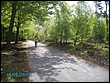 pict0017.jpg