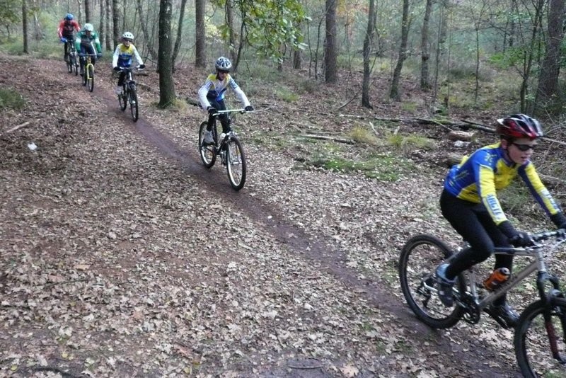 VTT2010092.jpg