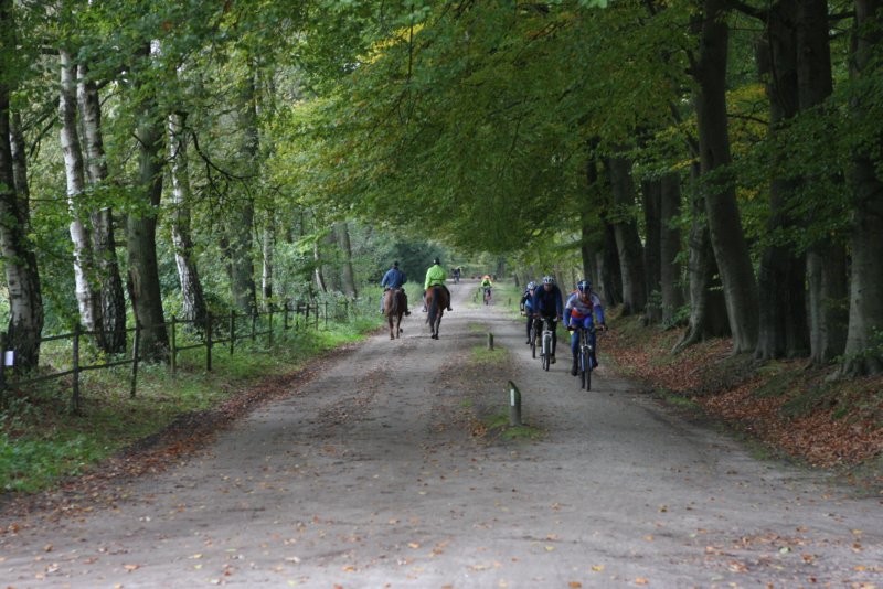 VTT2010137.jpg