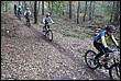 VTT2010092.jpg