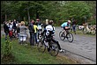 photo81.jpg